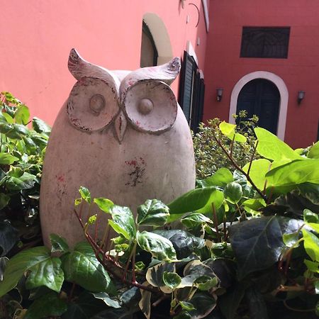 Donnenzo Bed & Breakfast Latiano Exterior foto