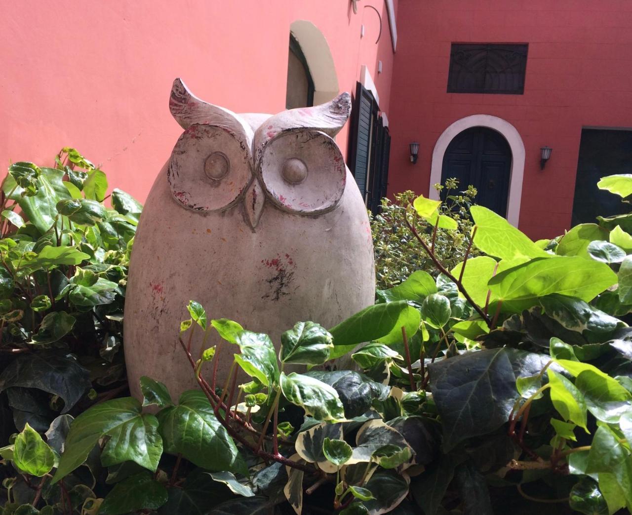 Donnenzo Bed & Breakfast Latiano Exterior foto